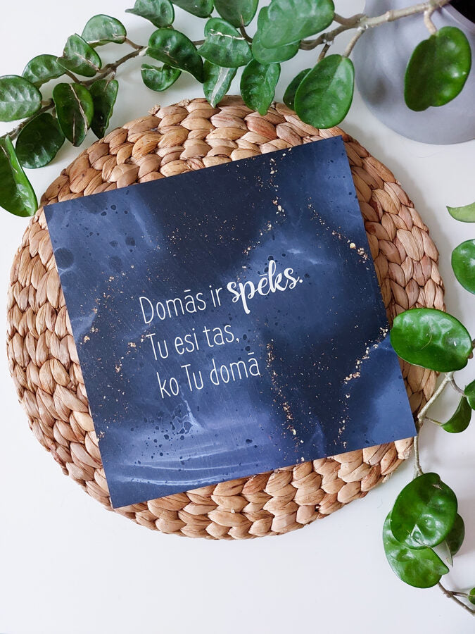 Domas /pelēks Image 3