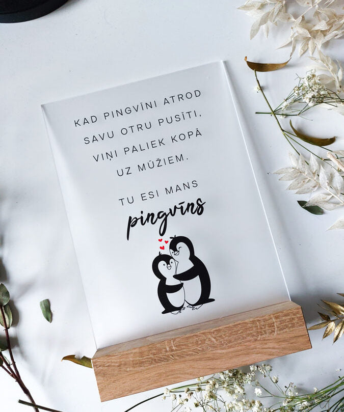 Pingvīns  Image 3
