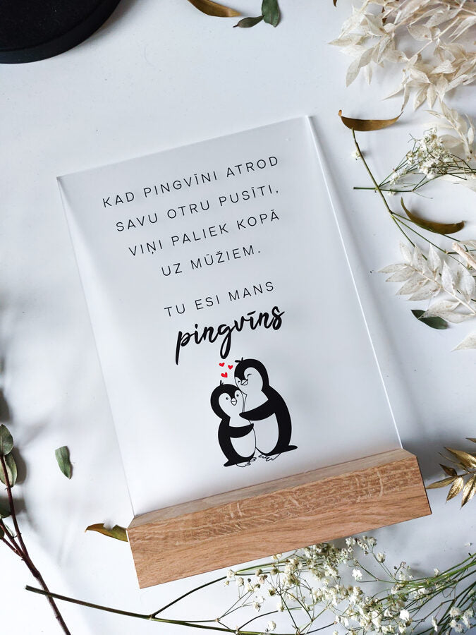 Pingvīns  Image 3