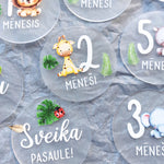 Mēneša aplīši  Image 4