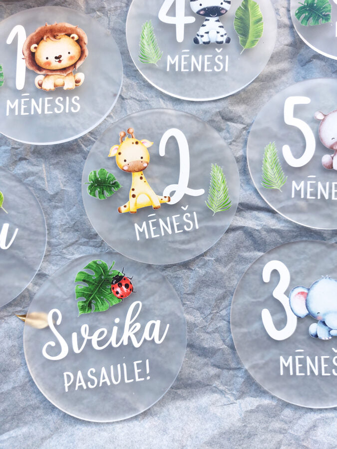 Mēneša aplīši  Image 4