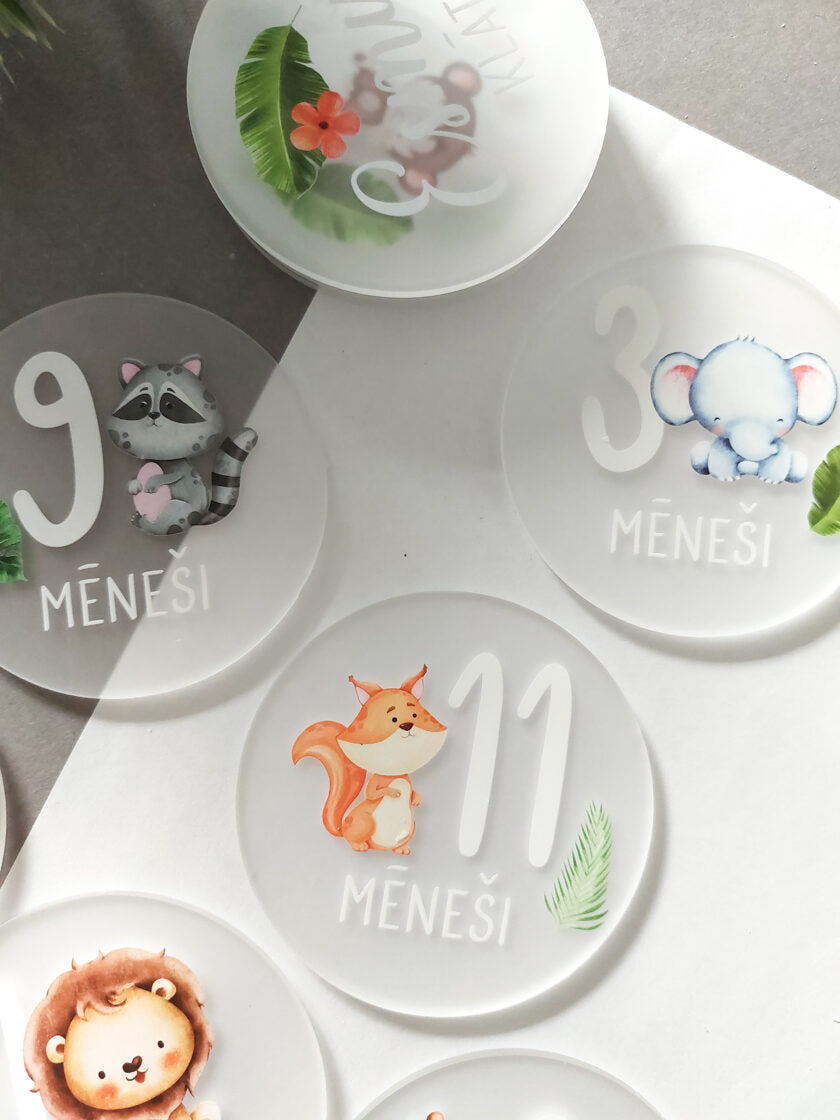 Mēneša aplīši  Image 6