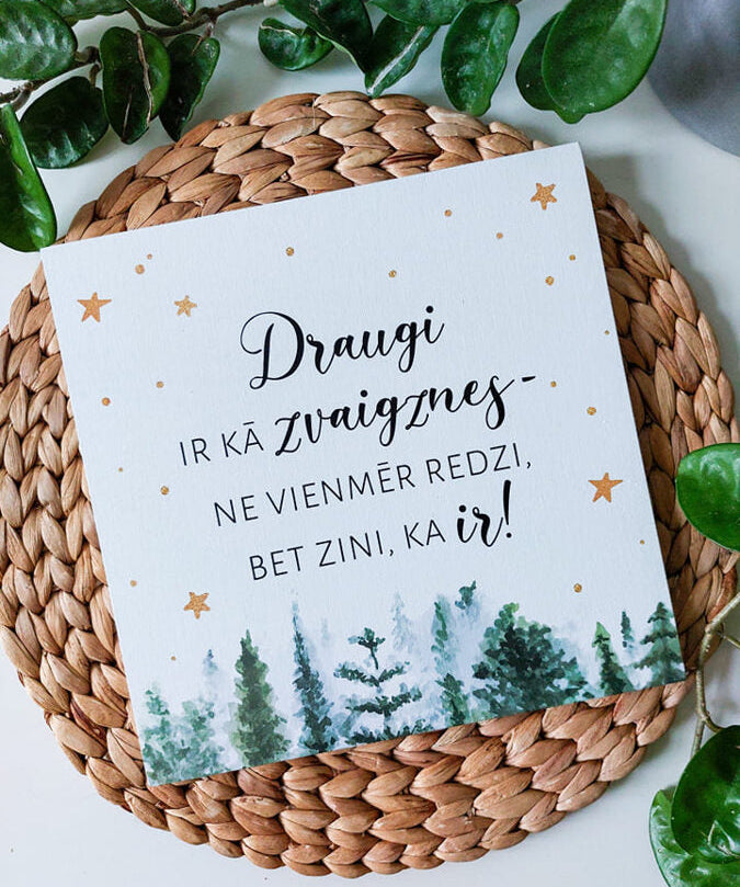 Draugi/ziemas dizains Image
