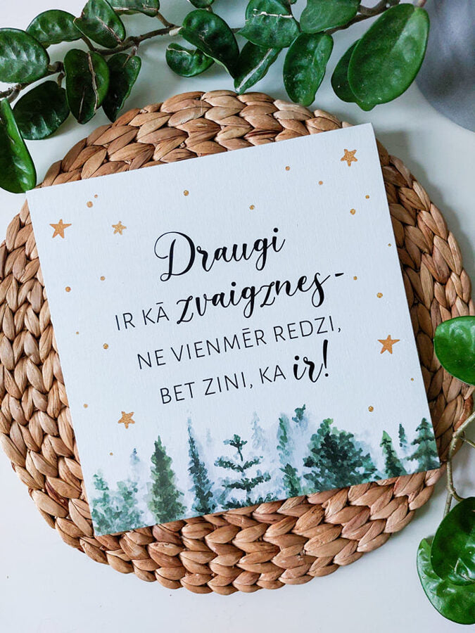 Draugi/ziemas dizains Image