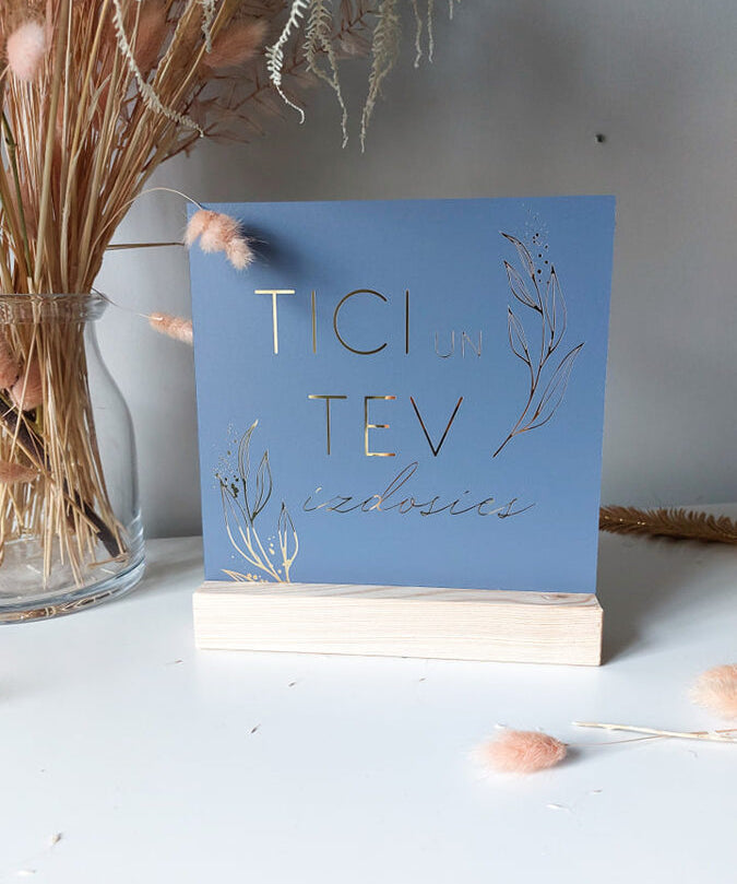 Tici un Tev izdosies/ zilgans Image