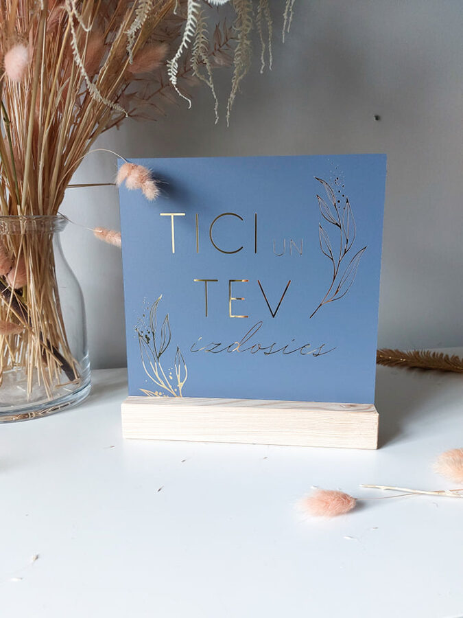 Tici un Tev izdosies/ zilgans Image