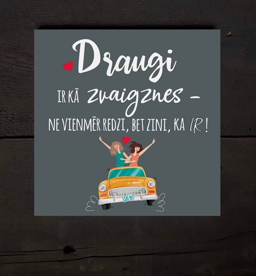 Draugi /pelēks Image 2