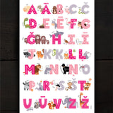 Alphabet