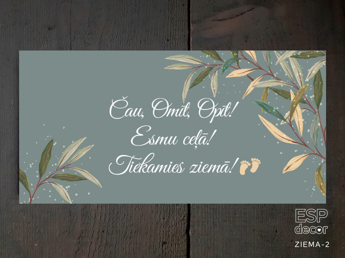 Tiekamies ziemā Image 2
