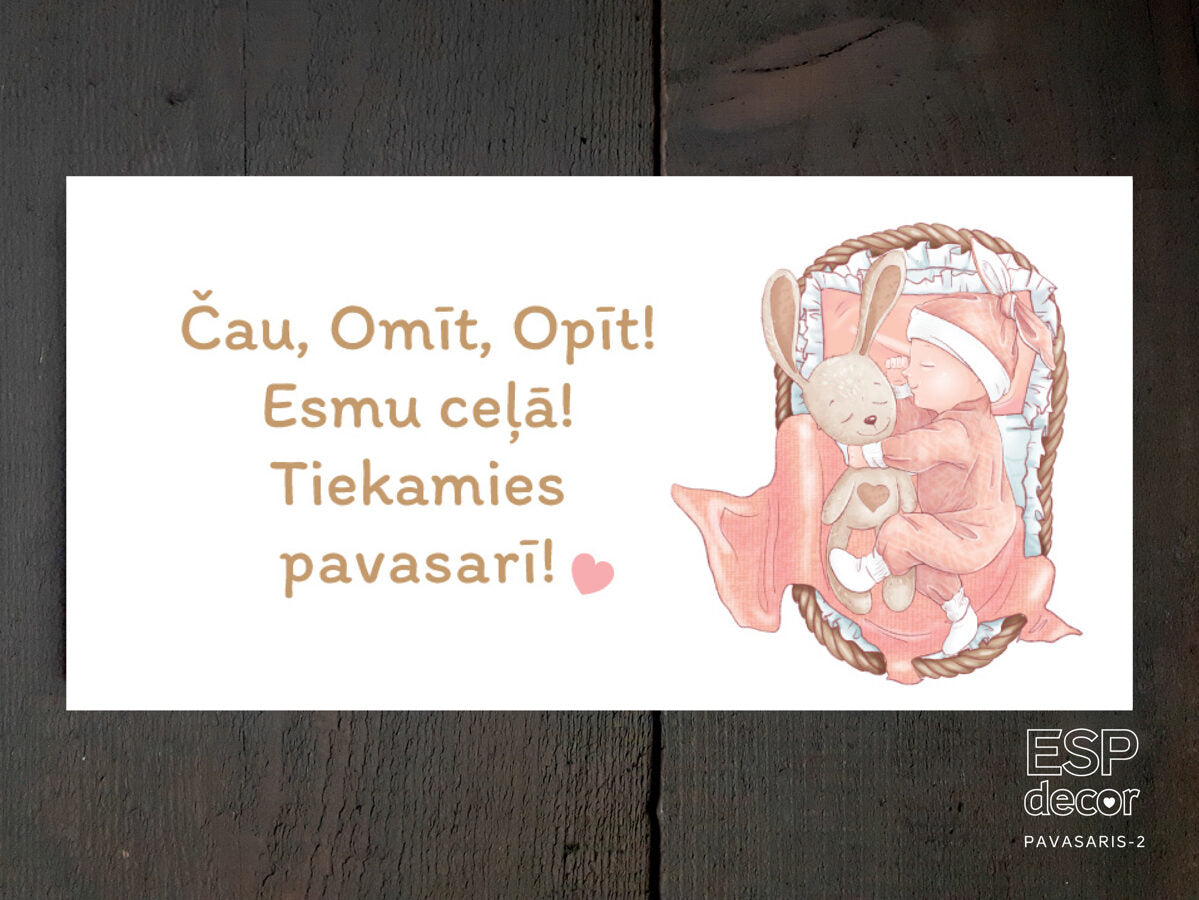 Tiekamies pavasarī Image 2