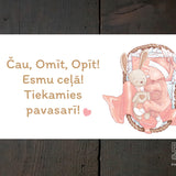 Tiekamies pavasarī Image 2