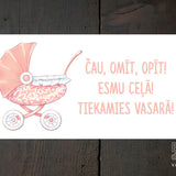 Tiekamies vasarā Image 2
