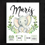 Māris Image