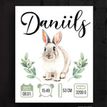 Daniils Image