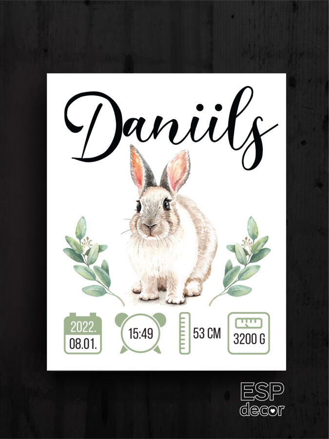 Daniils Image