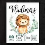 Vladimirs Image