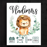 Vladimirs Image