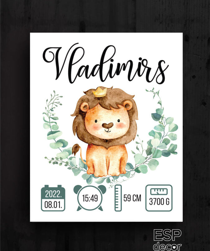 Vladimirs Image