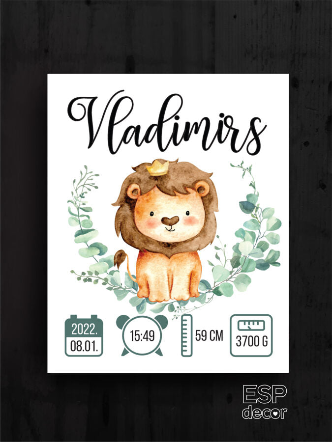 Vladimirs Image