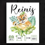 Reinis Image