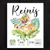 Reinis Image