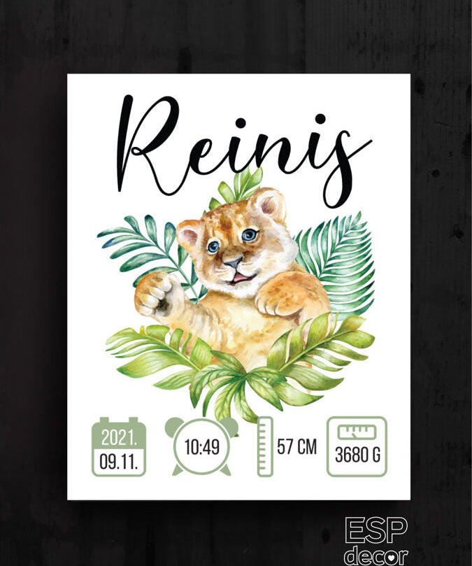 Reinis Image