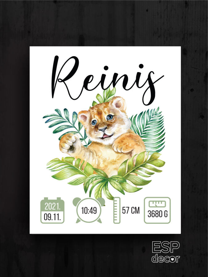 Reinis Image