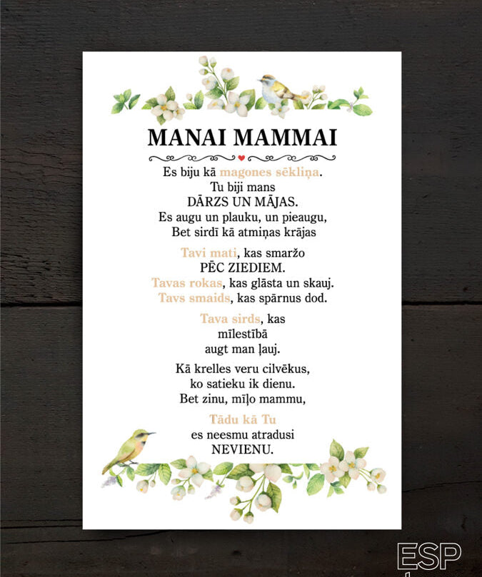 Manai mammai mini /diz3 Image 2