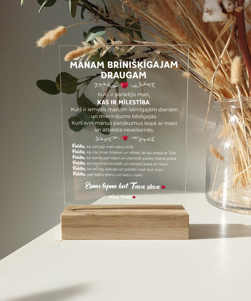 Manam brīnišķīgajam draugam Image
