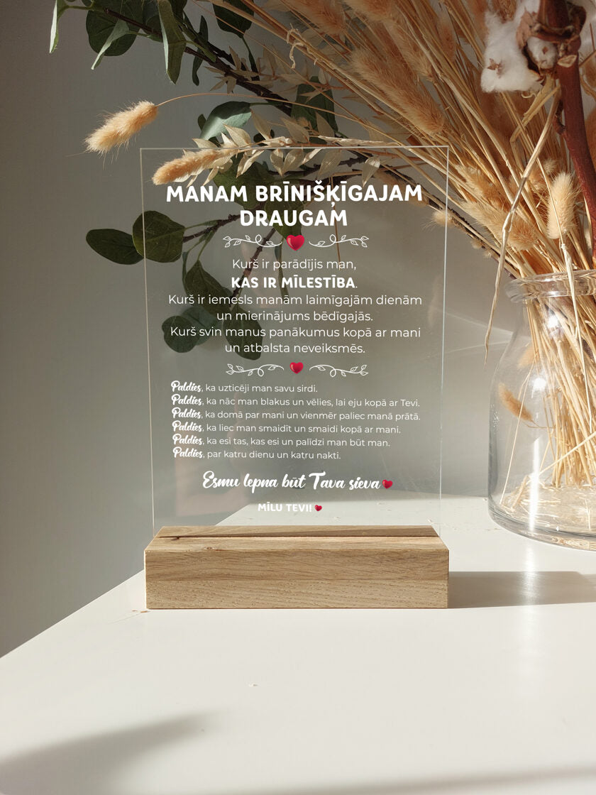 Manam brīnišķīgajam draugam Image