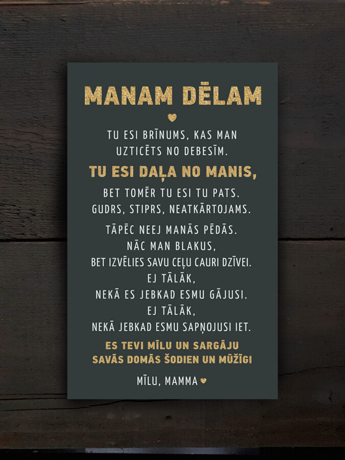Manam dēlam Image 2