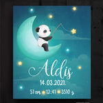 Aldis Image