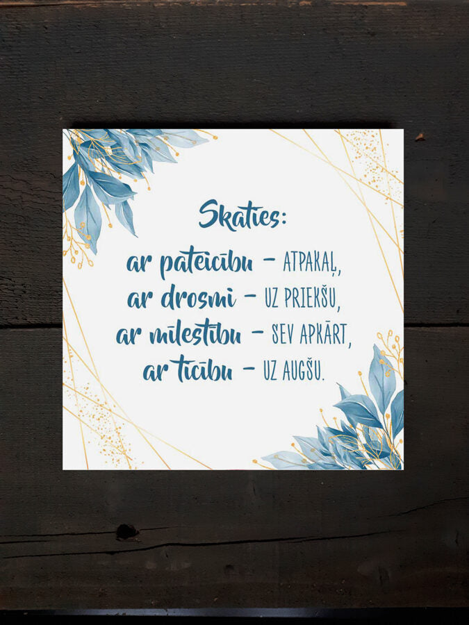 Skaties Image 2