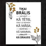 Tikai brālis  Image