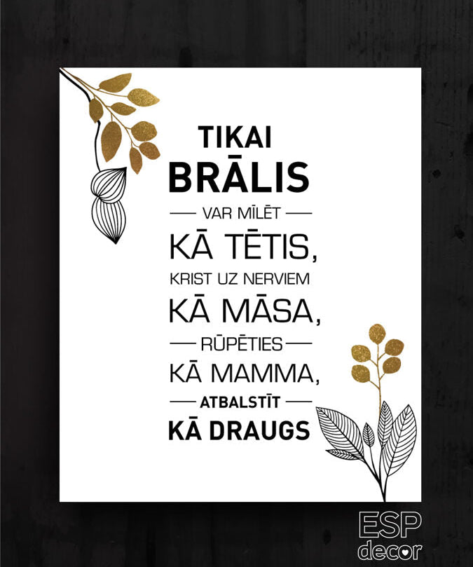 Tikai brālis  Image