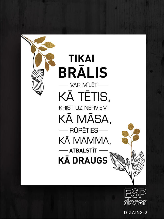 Tikai brālis  Image