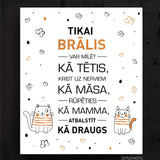 Tikai brālis  Image 4